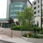 Southlake Regional Health Centre